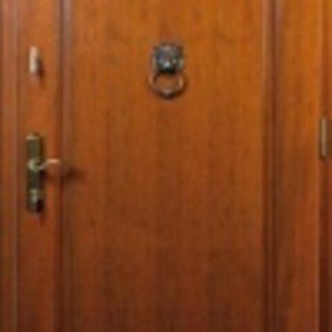 Dřevěné vchodové dveře S06